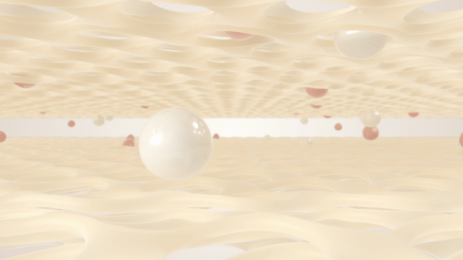 C02+C043 v1
